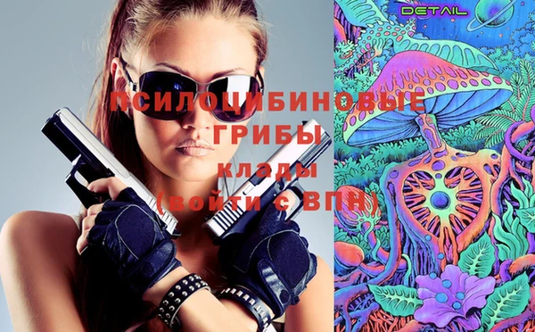 шишки Балабаново
